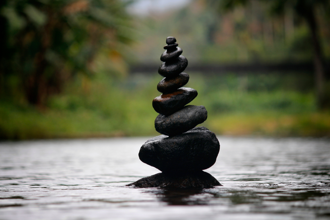 ID, Ego, and Superego: A Business Perspective