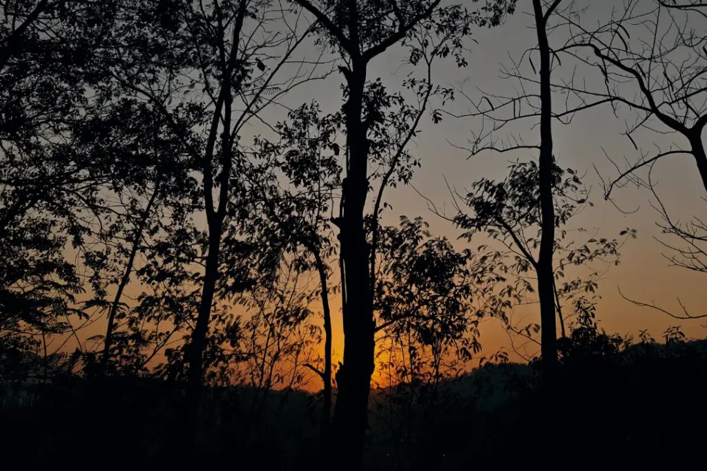 A serene sunset captured by Sadhuwani, representing reflection and solitude—echoing the theme of 'Would I Still Speak Even If No One Listens?' about self-expression and being heard