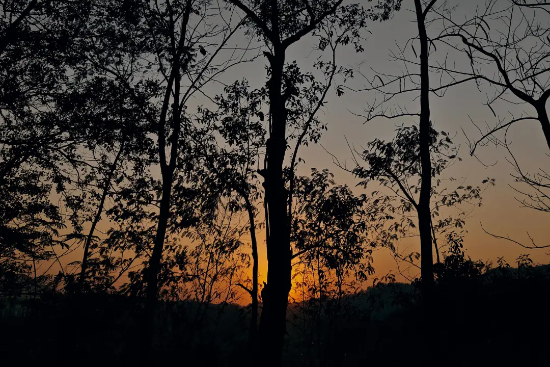 A serene sunset captured by Sadhuwani, representing reflection and solitude—echoing the theme of 'Would I Still Speak Even If No One Listens?' about self-expression and being heard