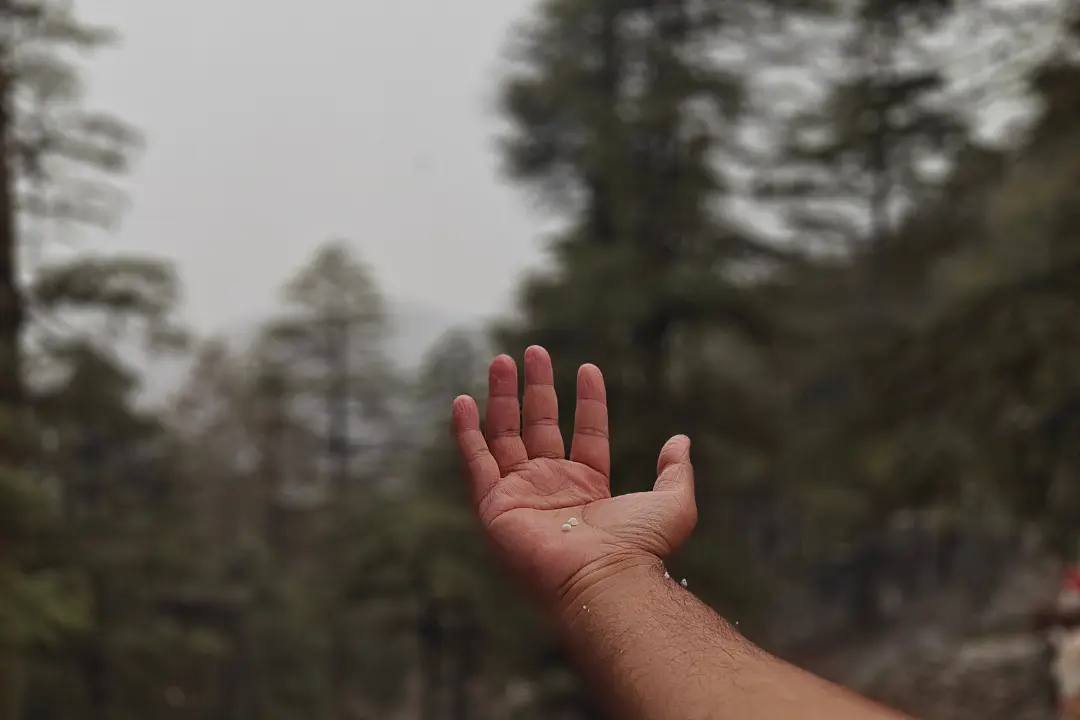 An outstretched hand catching snowfall in Shimla's forest, representing the moment described in A Life Worth Enduring by Sadhuwani